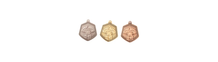 BRONZE 65MM MARTIAL ARTS SHIELD MEDAL BRONZE 65MM MARTIAL ARTS SHIELD MEDAL